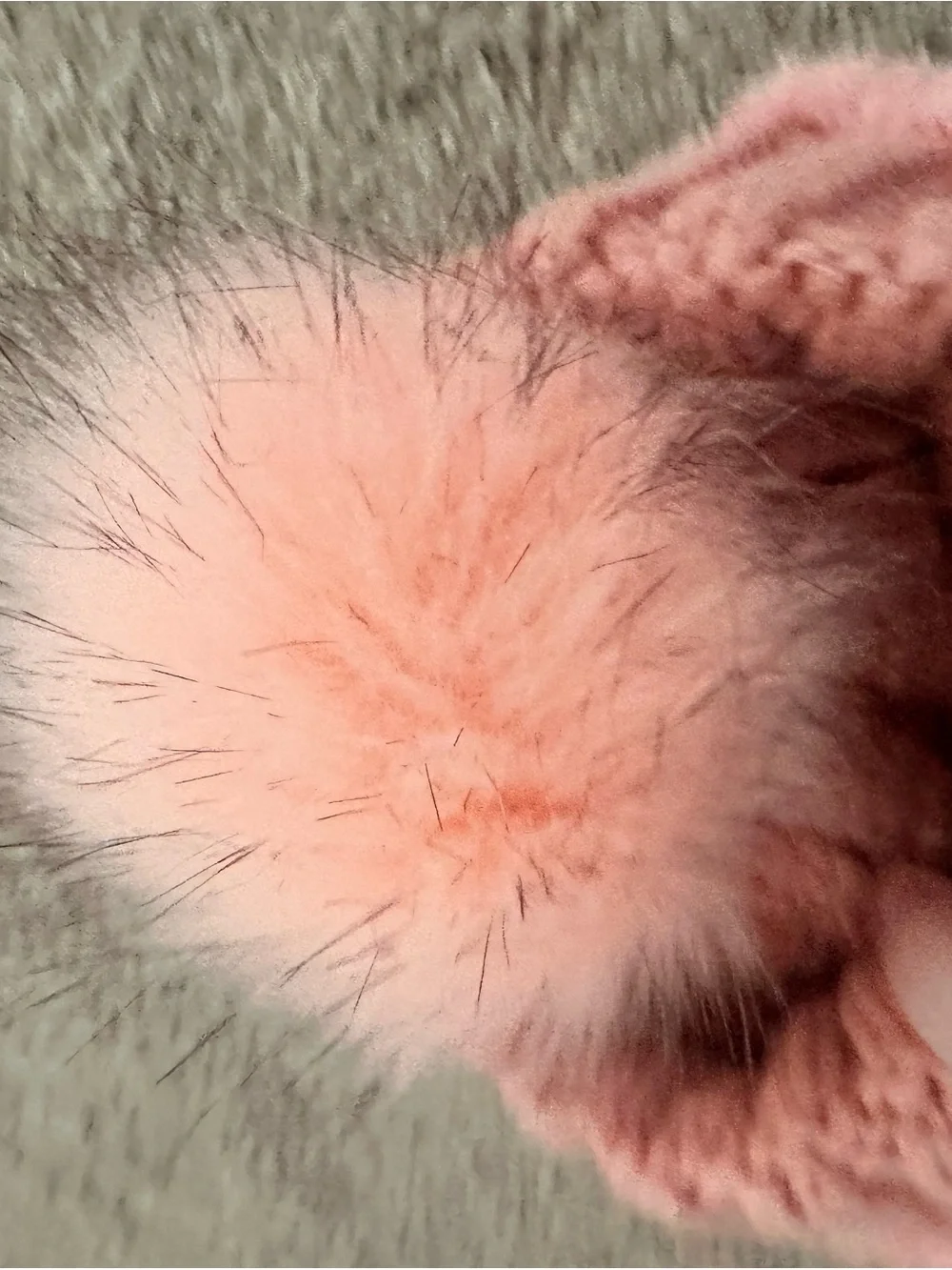 Cable Knit Pom Beanie in Blush Pink by